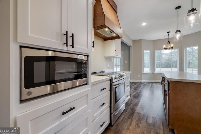 kitchen featuring white cabinets, custom range hood, and stainless steel appliances