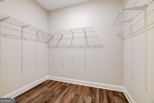 walk in closet with hardwood / wood-style flooring