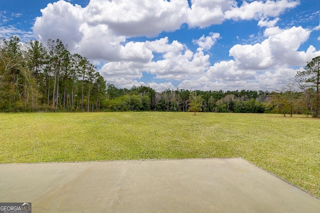 view of yard with a patio