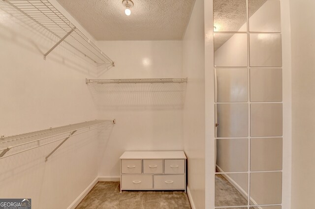 spacious closet with carpet floors