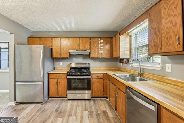 kitchen featuring a wealth of natural light, sink, a textured ceiling, and appliances with stainless steel finishes