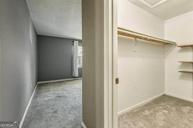 spacious closet featuring light carpet