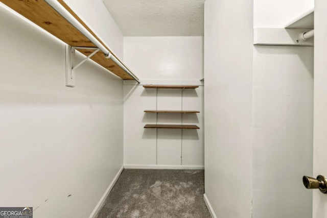 walk in closet with dark carpet