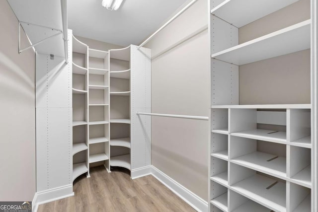 walk in closet with wood-type flooring