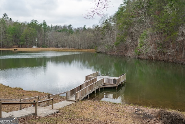 dock area with a water view