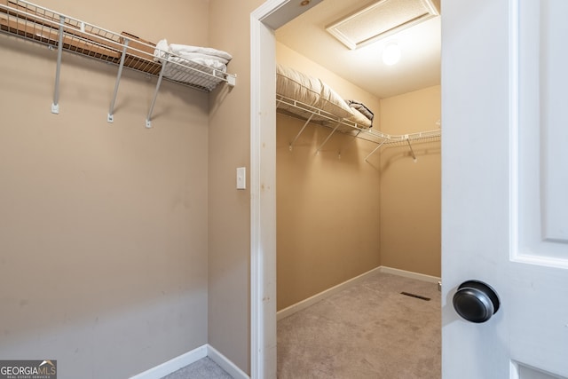 spacious closet with light colored carpet