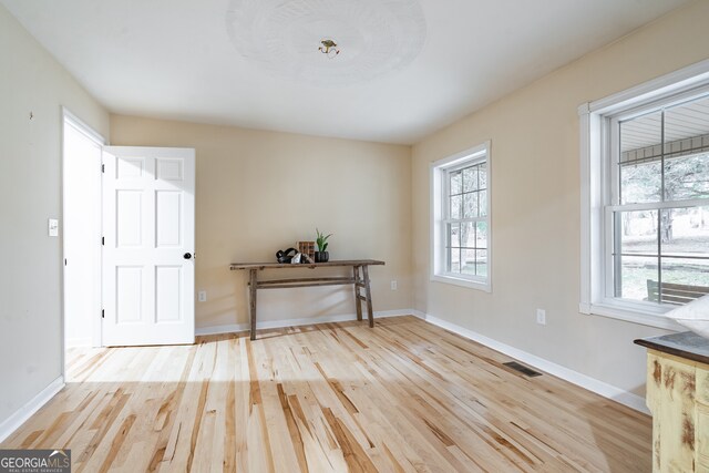 entryway featuring a healthy amount of sunlight and light wood-type flooring