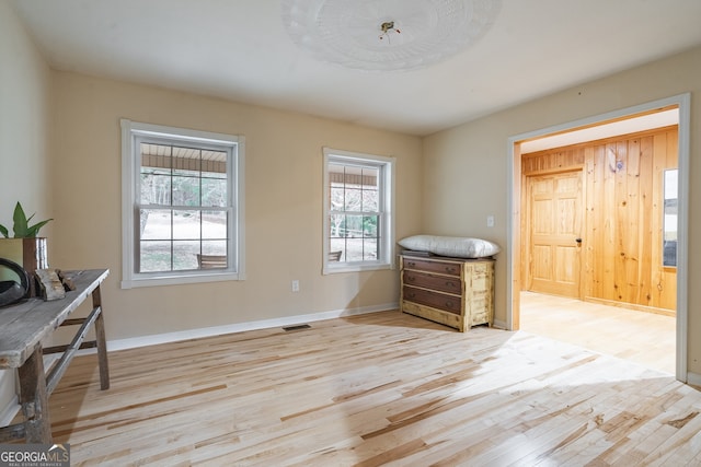 interior space featuring a wealth of natural light and light hardwood / wood-style flooring