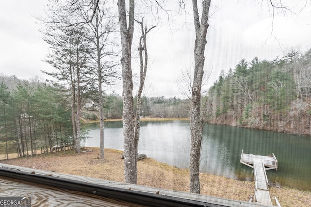 water view featuring a boat dock