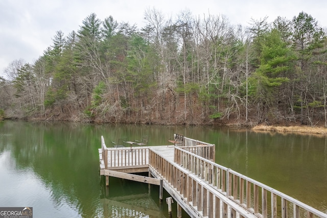 dock area featuring a water view