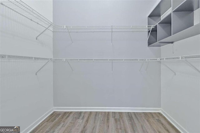 walk in closet featuring hardwood / wood-style floors