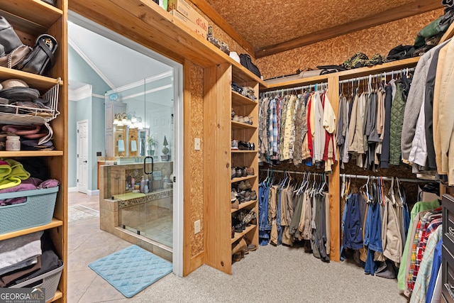 spacious closet featuring carpet flooring