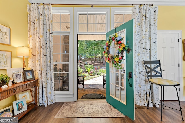 entrance foyer with dark hardwood / wood-style flooring