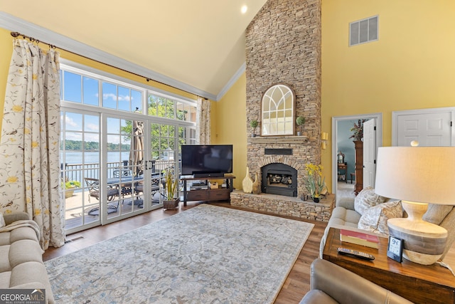 living room with a fireplace, hardwood / wood-style floors, and high vaulted ceiling