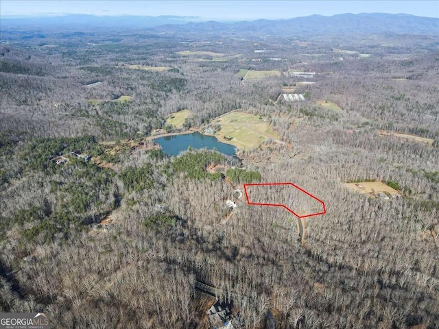 0 Mountainside Pkwy, Ellijay GA, 30536 land for sale