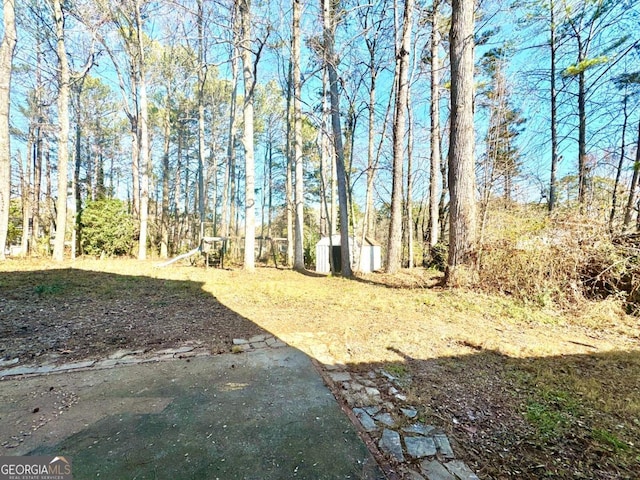 view of yard featuring a storage unit