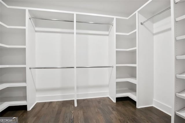 spacious closet with dark wood-type flooring