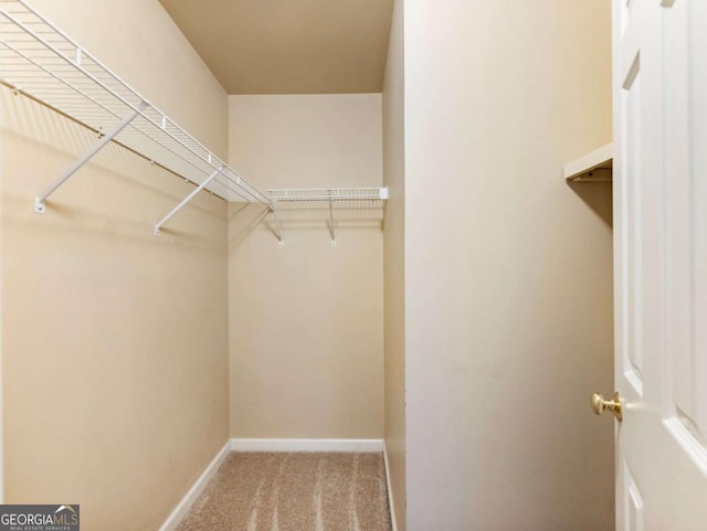 spacious closet featuring carpet flooring