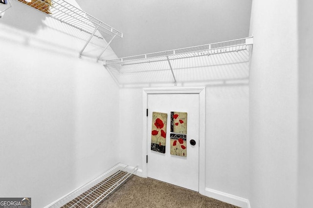 walk in closet with carpet floors