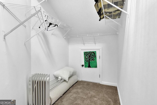 walk in closet with radiator heating unit and light colored carpet