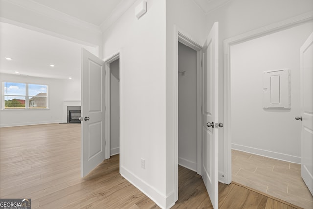 hall with electric panel, light hardwood / wood-style floors, and ornamental molding