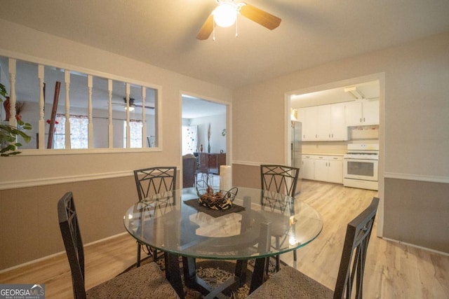 dining room with ceiling fan and light hardwood / wood-style flooring