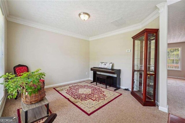 living area featuring a textured ceiling, carpet floors, and crown molding