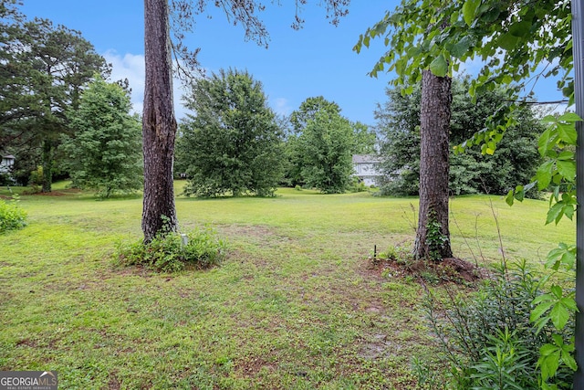 257 Country Club Dr, Jonesboro, GA 30238 - view of green lawn