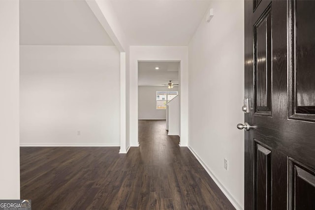 hallway featuring dark wood-type flooring