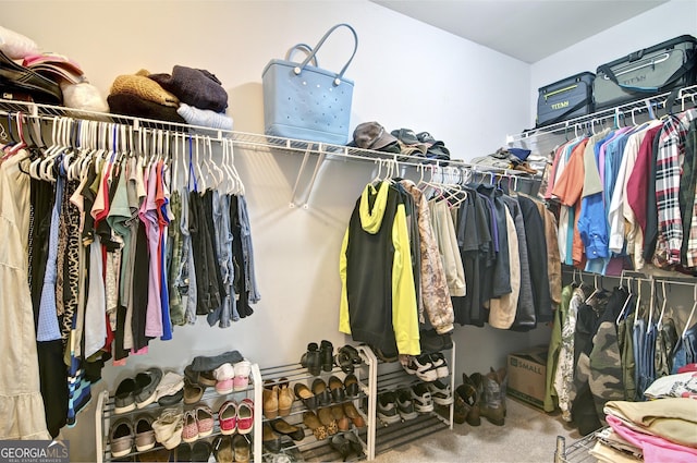 spacious closet featuring carpet floors