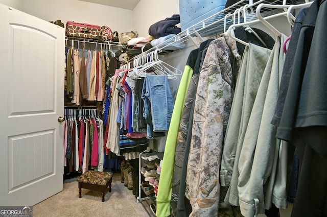 walk in closet with carpet floors