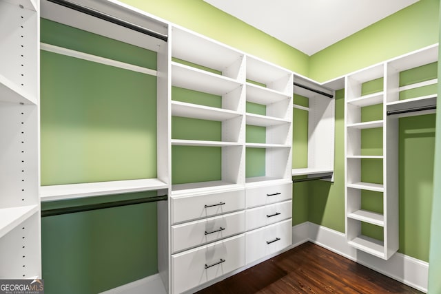 spacious closet with dark hardwood / wood-style flooring