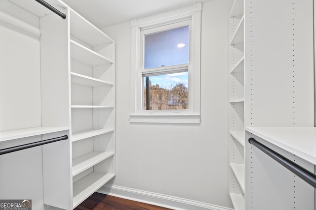 walk in closet with dark hardwood / wood-style floors