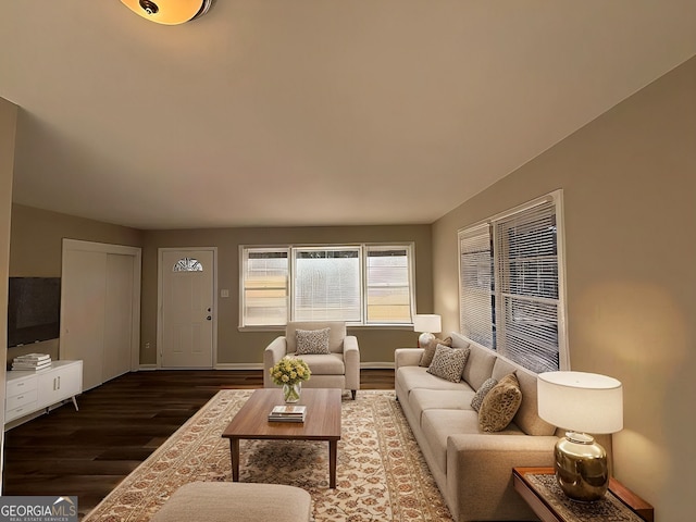 living room featuring dark wood-type flooring