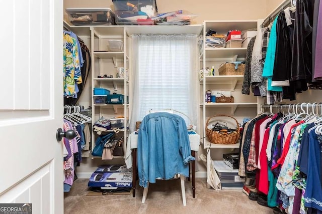 spacious closet featuring carpet flooring