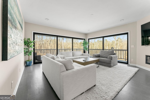 living room featuring dark hardwood / wood-style floors