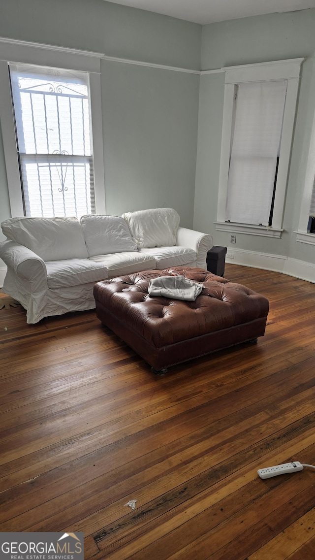 living room featuring hardwood / wood-style floors