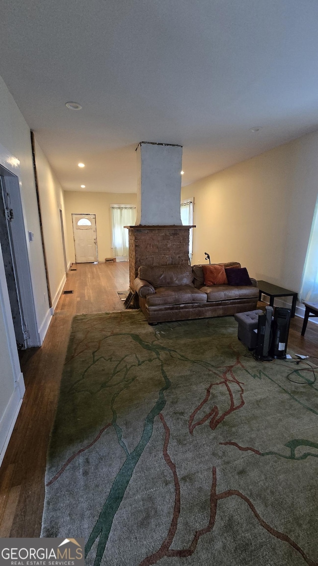 living room featuring wood-type flooring