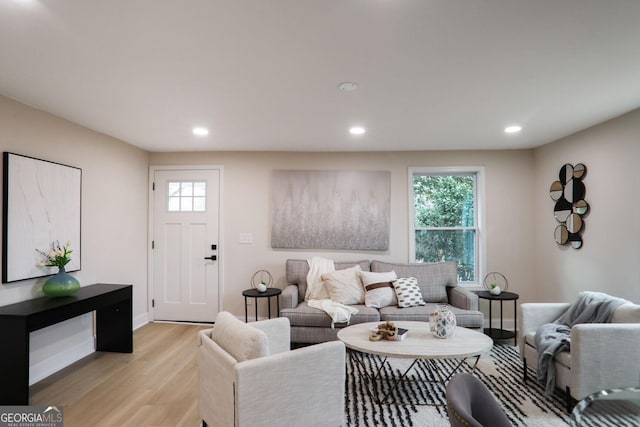 living room featuring plenty of natural light and light wood-type flooring