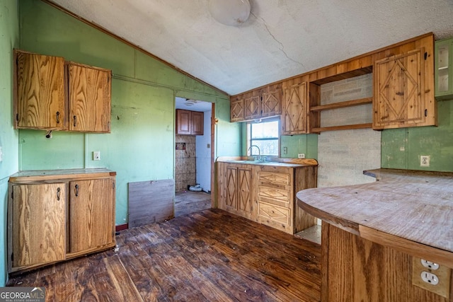 kitchen with a textured ceiling, dark hardwood / wood-style flooring, lofted ceiling, and sink