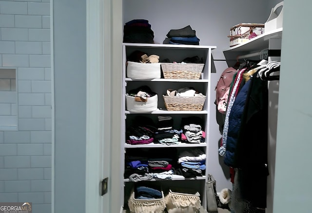 view of spacious closet