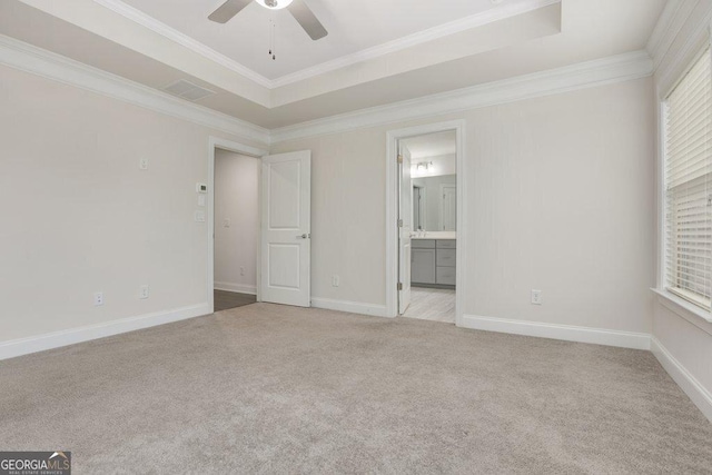 carpeted empty room with a tray ceiling and a wealth of natural light