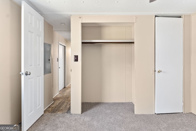 closet featuring electric panel