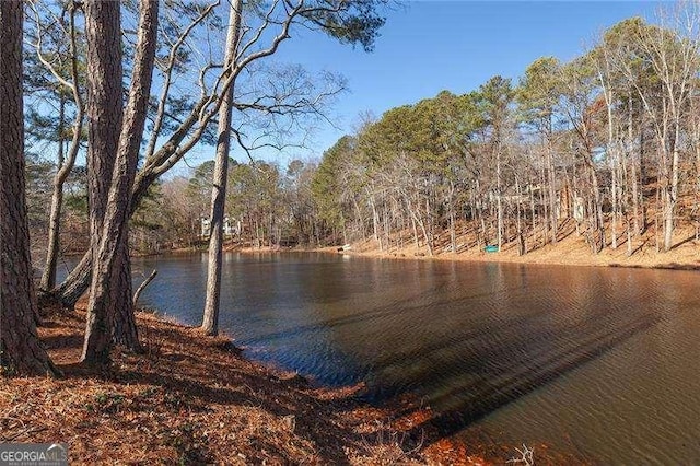 view of water feature