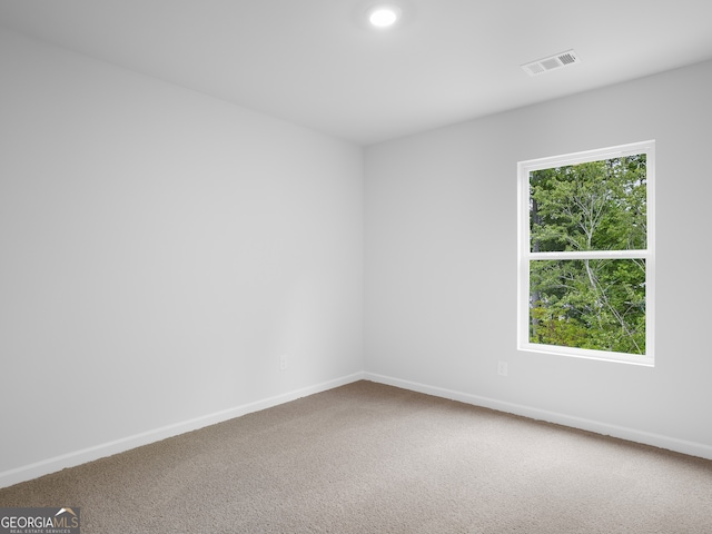 empty room featuring carpet flooring and plenty of natural light