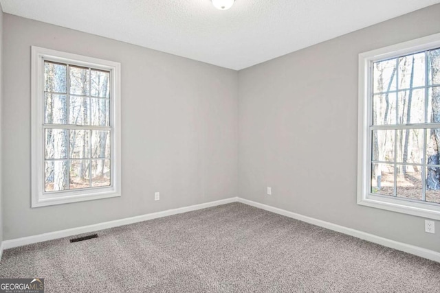 spare room with plenty of natural light and carpet