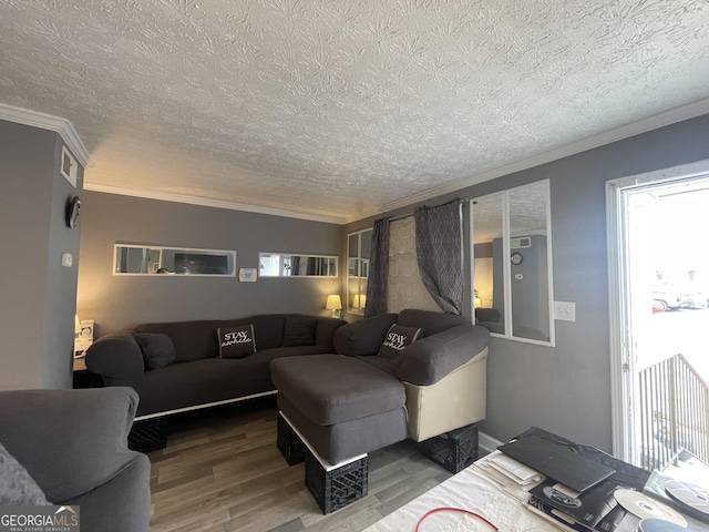 living room featuring wood-type flooring, a textured ceiling, and ornamental molding