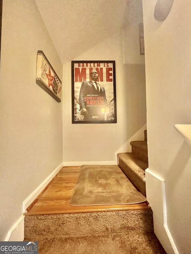 stairs with hardwood / wood-style flooring