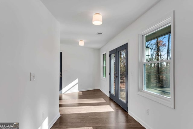 interior space featuring plenty of natural light and dark hardwood / wood-style floors