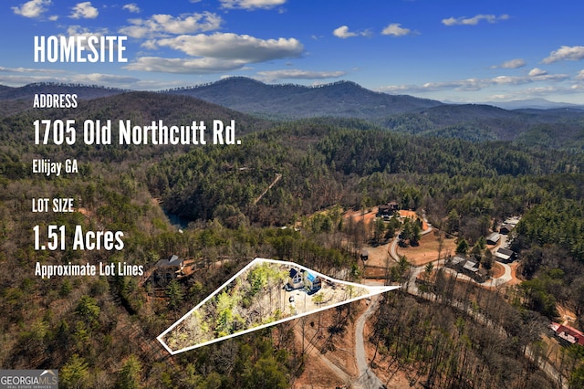 drone / aerial view with a wooded view and a mountain view